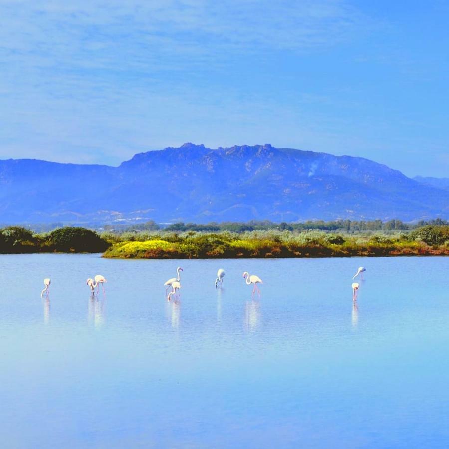 Sa Caladroxa Βίλα Villa San Pietro Εξωτερικό φωτογραφία